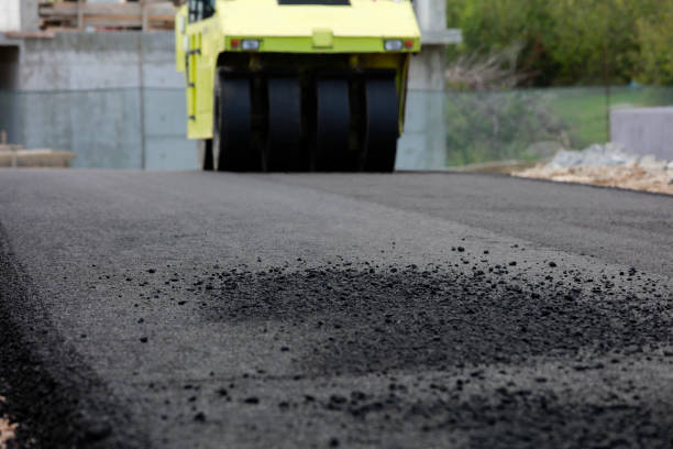 Best Interlocking Driveway Pavers  in North Lauderdale, FL